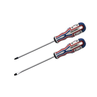 Stjärnskruvmejsel med magnetisk spets